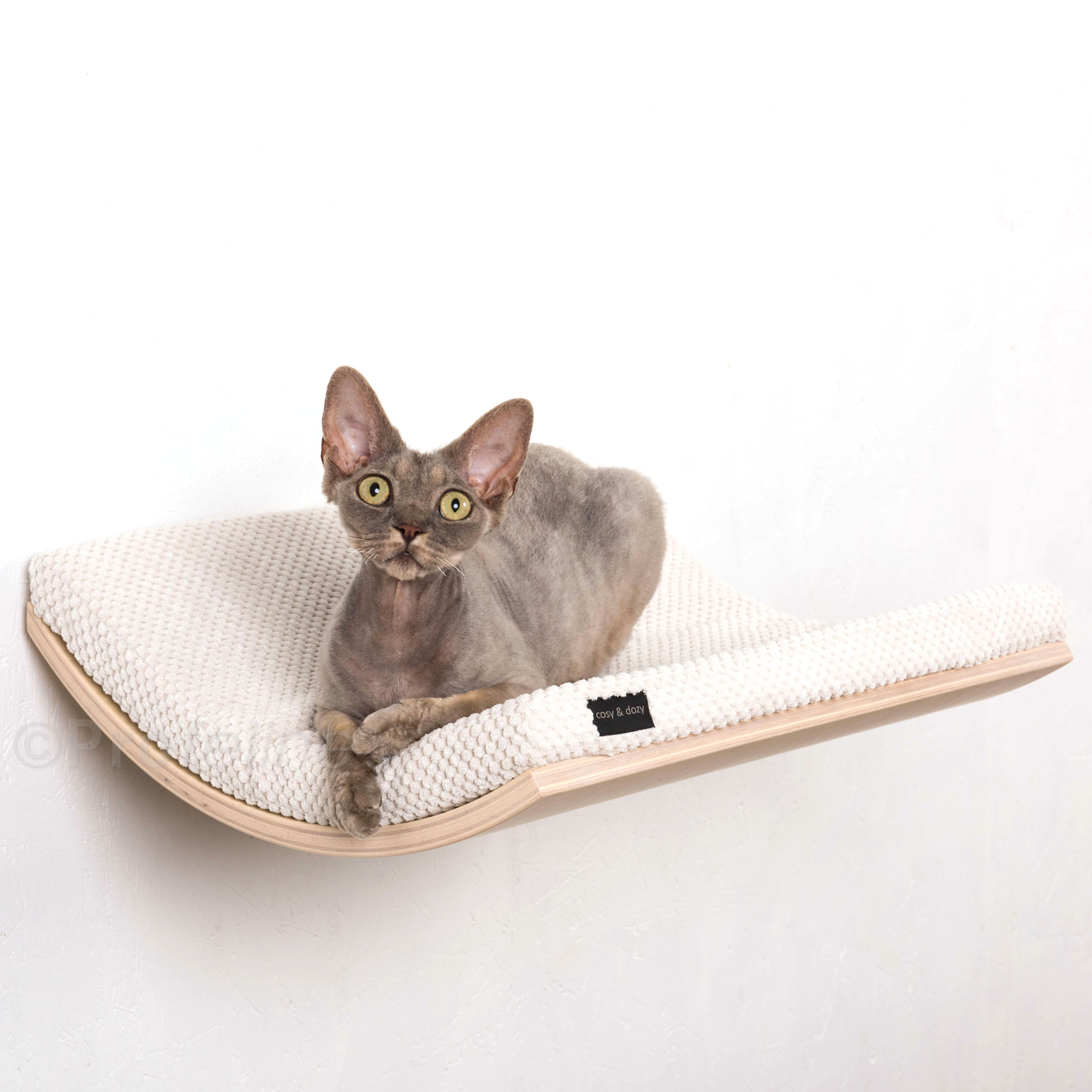 Katzenliege Maple