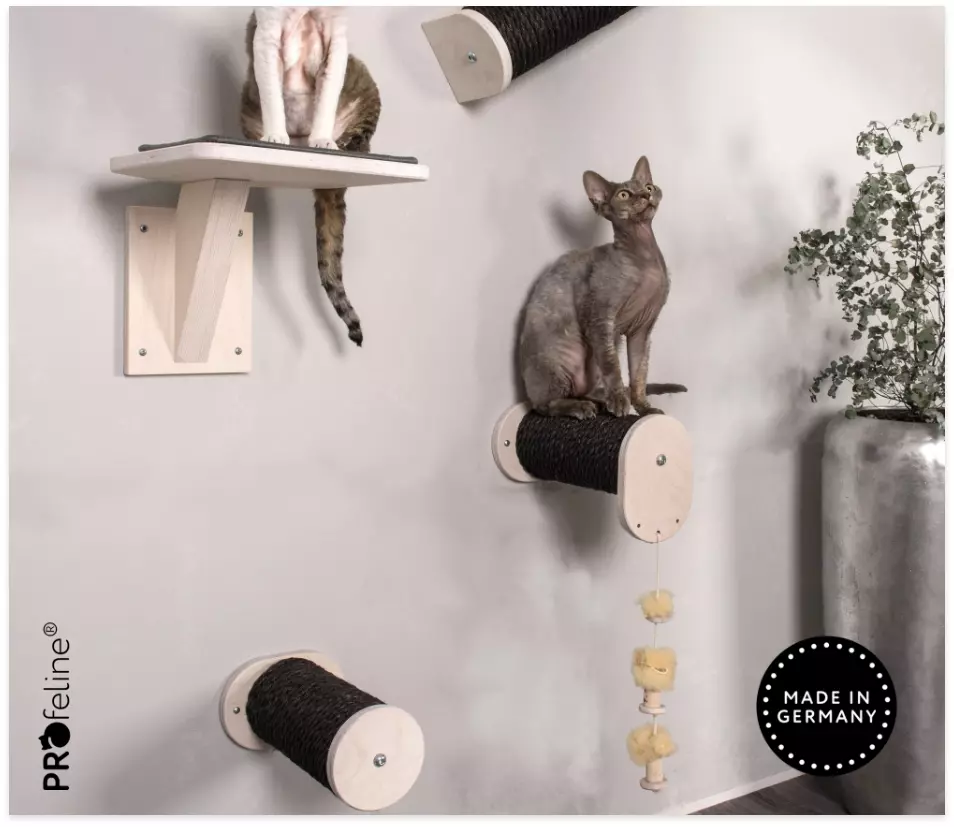 Katzen Catwalks